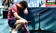 九游娱乐-法国乒乓球队横扫韩国乒乓球队，王皓高光表现的简单介绍