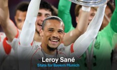 九游娱乐官方-中国逆转曼城，萨内一己之力扛起全队的简单介绍