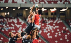 九游娱乐官方-绿茵场与篮球馆的双重奏，德甲争冠焦点战与魔术险胜辽宁队的竞技启示