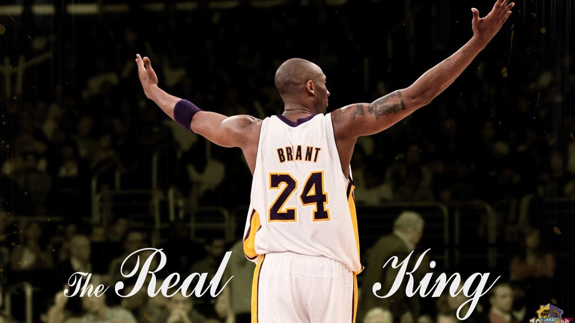 范弗利特独揽乾坤，青岛队轻取魔术显统治力