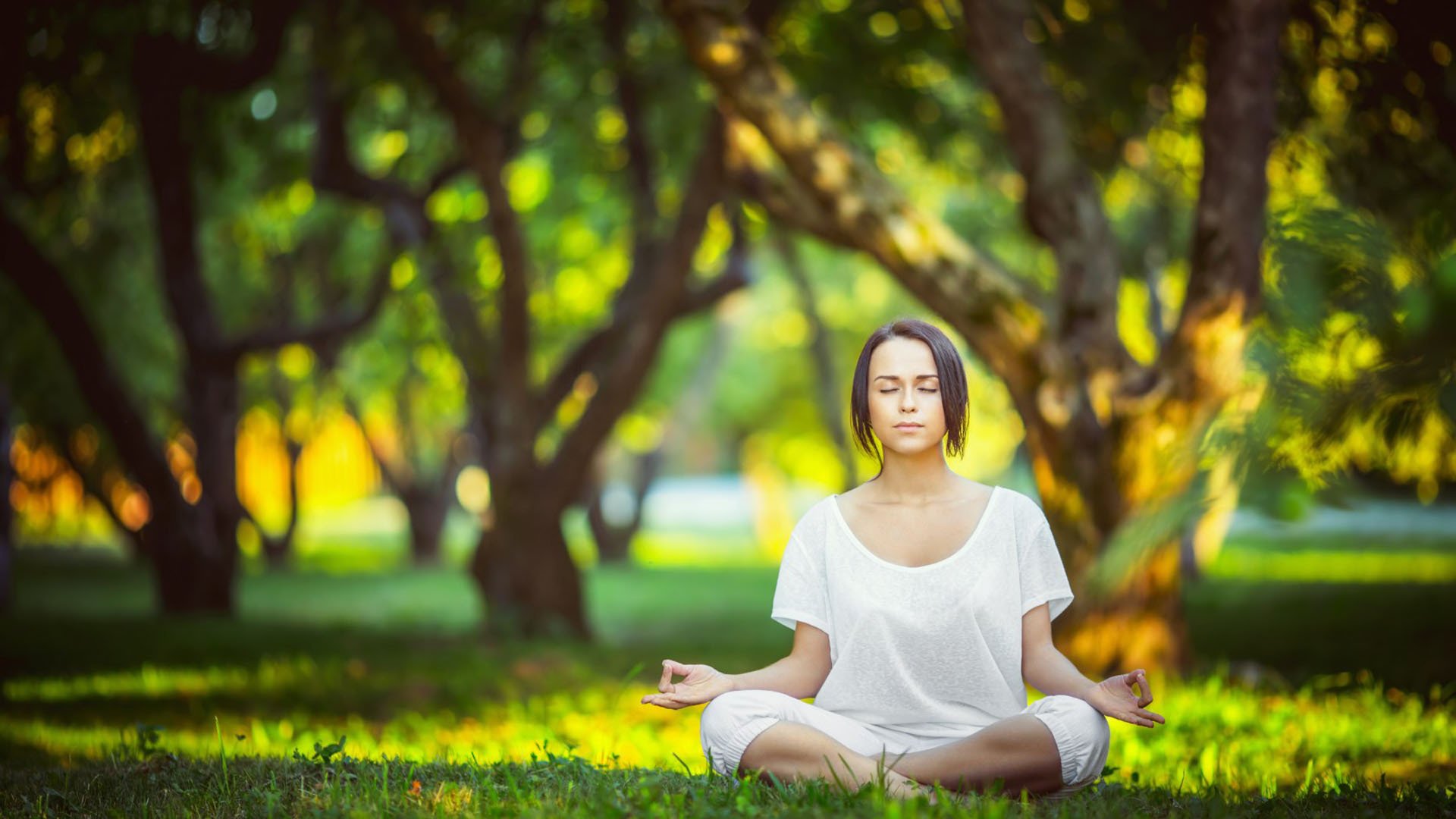 热带风暴席卷潘帕斯,范戴克铁血统治,泰国完胜哥伦比亚,2026世界杯C组上演最意外之战